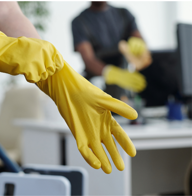 Bluebird cleaning team